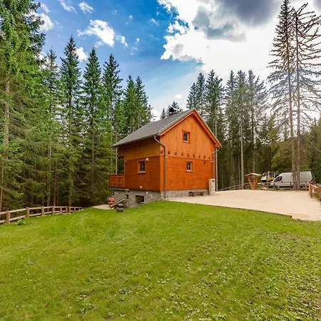 Luxury Tinka Villa Zgornje Gorje