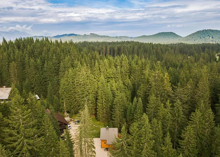 Luxury Tinka Vila Zgornje Gorje